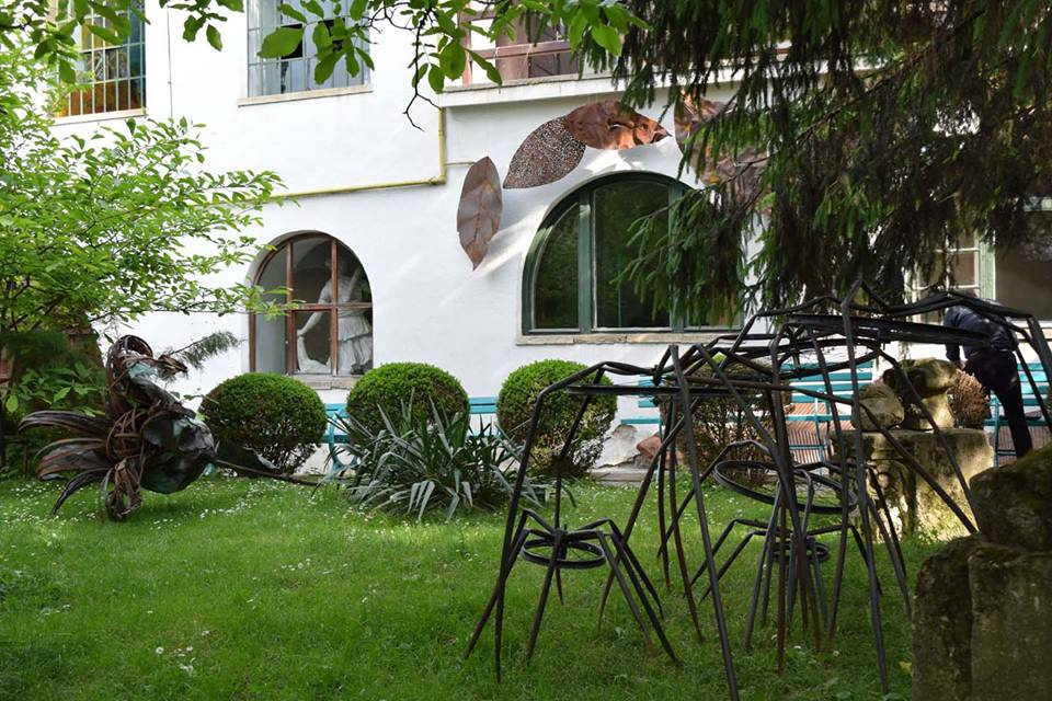 Gradina Casa Matei 2