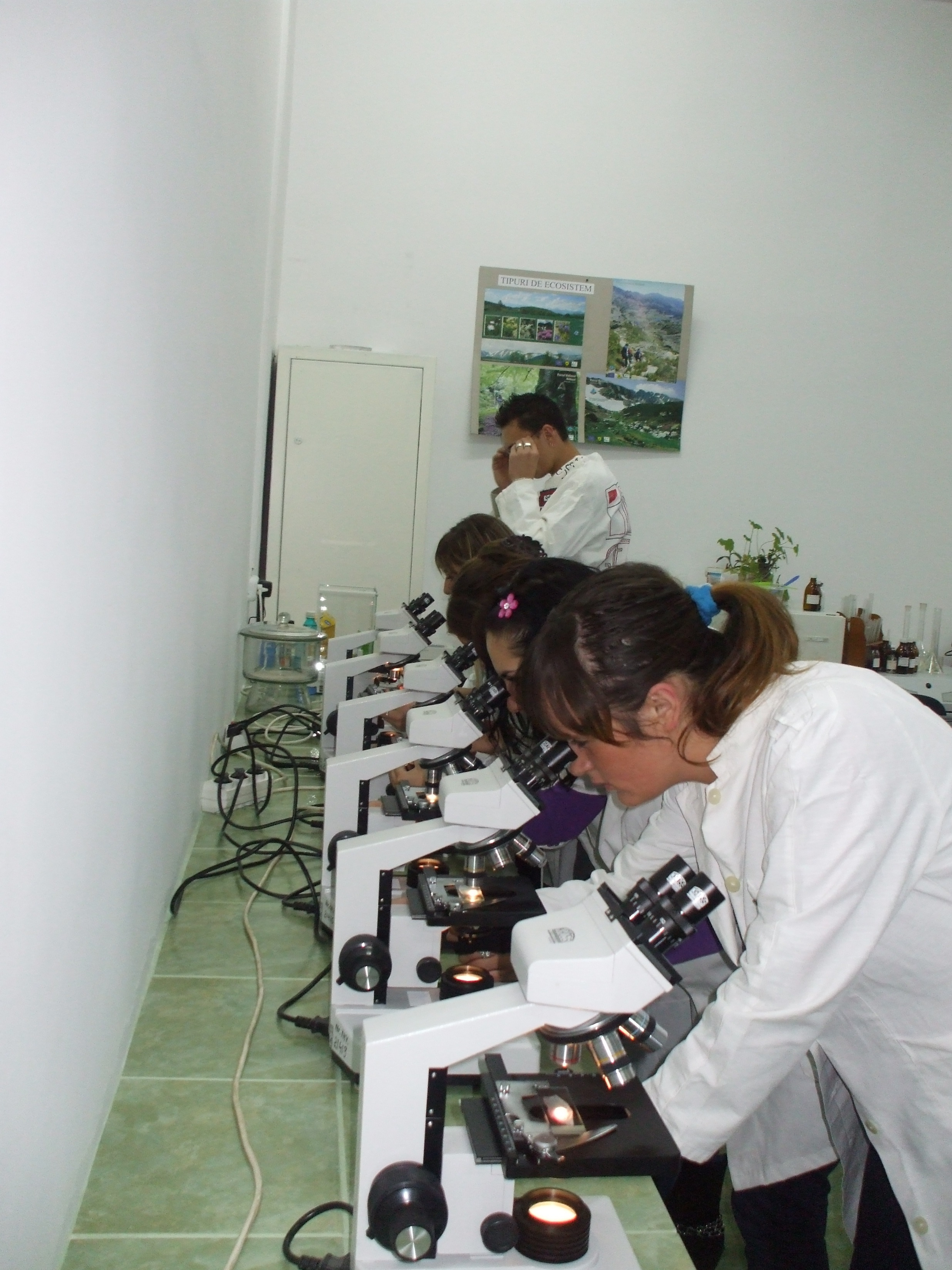 Pedology Lab