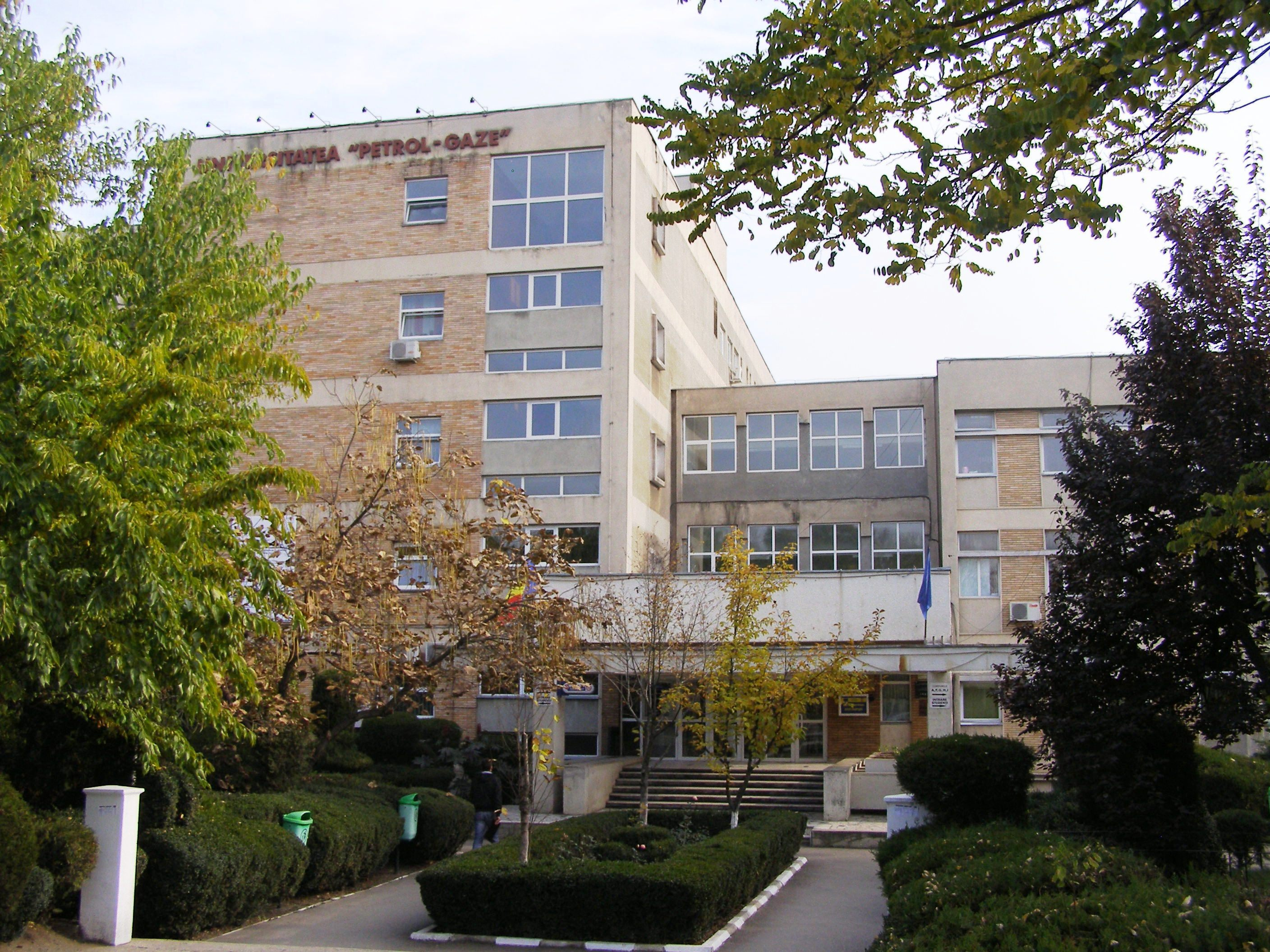 upg 1