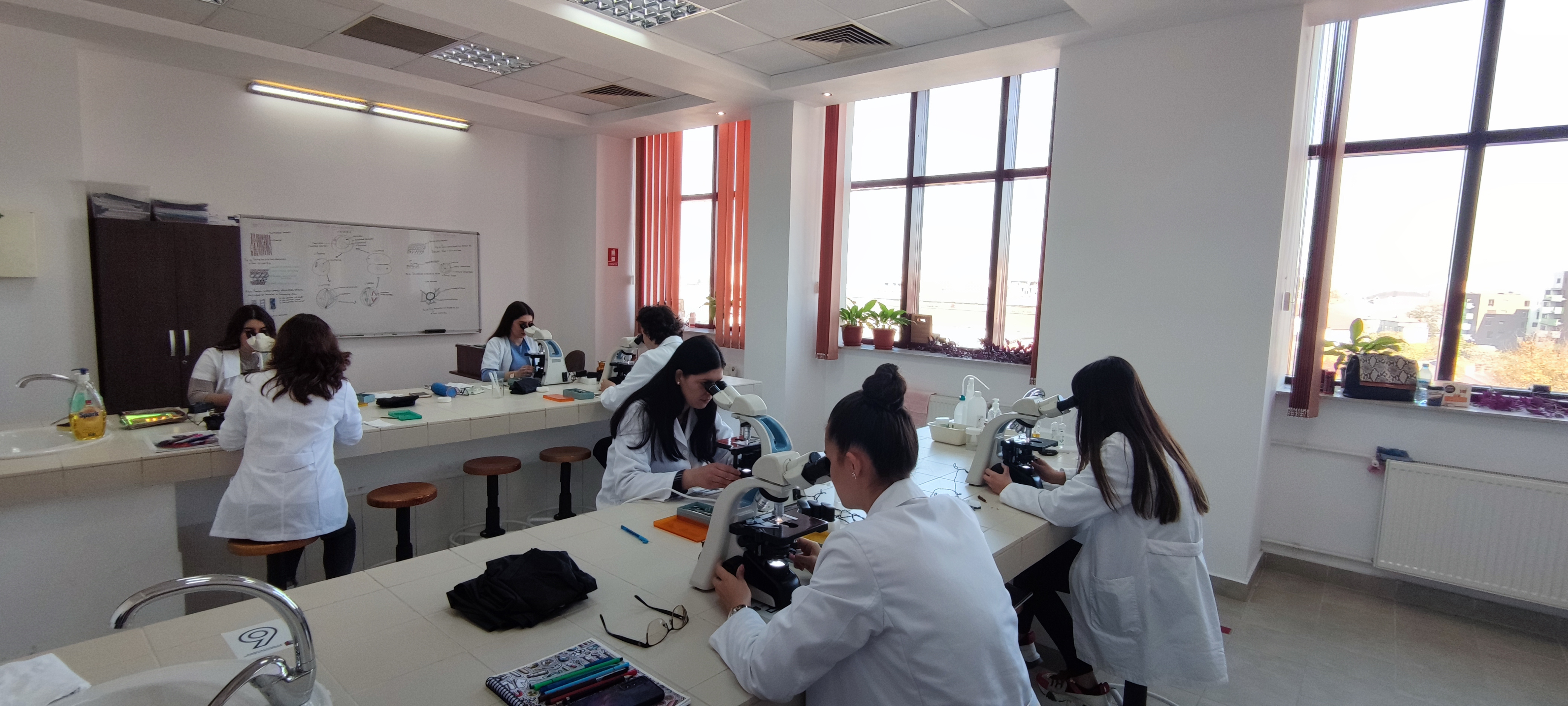 IMG 20221101 112047